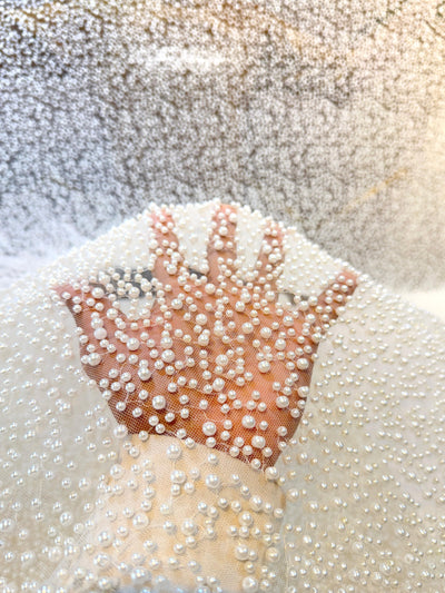 Imported Handwork Net Embroidery With Scattered Pearls Work 54 inch width