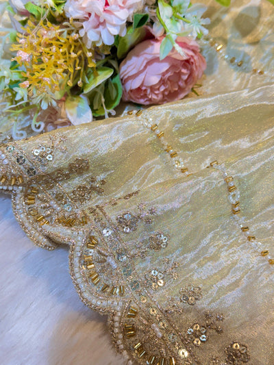 Mehz Zari Tissue Handwork Dyeable Dupatta (2.40 meter length)