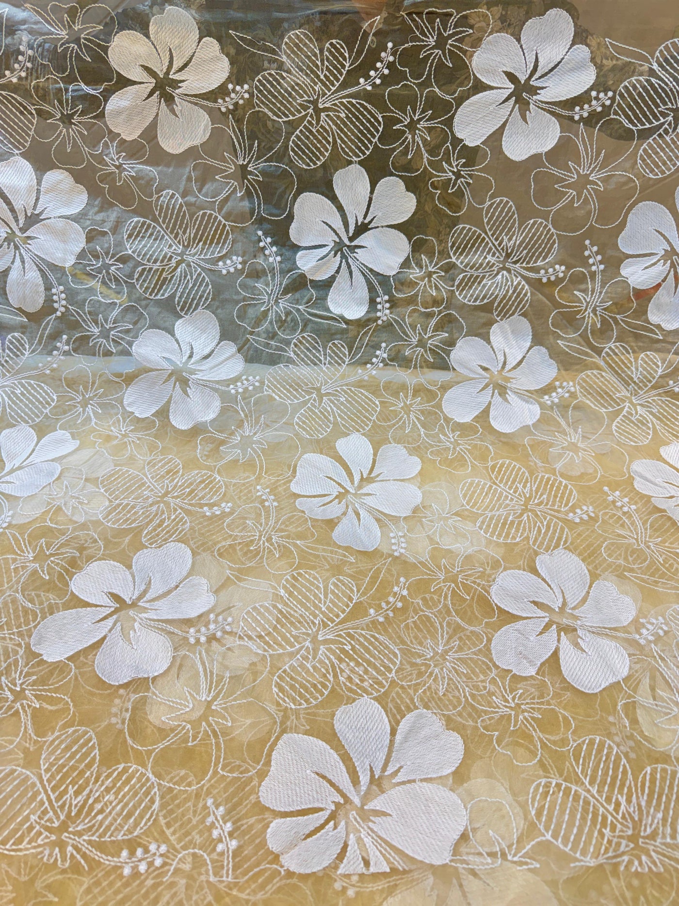 Aina Floral Organza Chikankari Embroidery 44 Inch Width