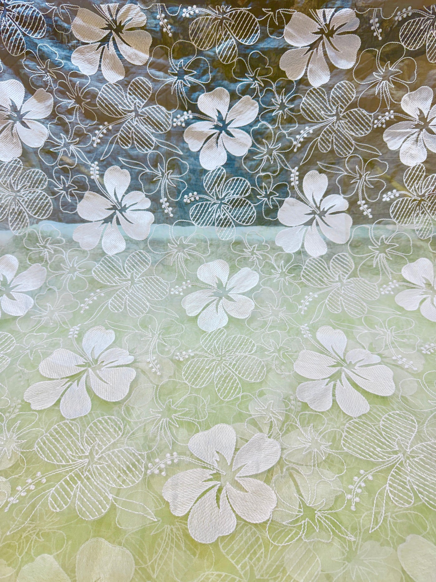 Aina Floral Organza Chikankari Embroidery 44 Inch Width