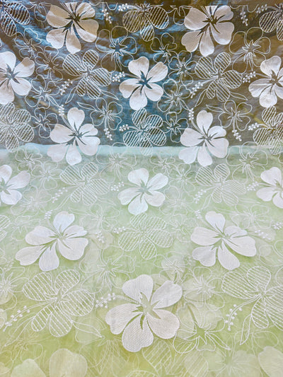 Aina Floral Organza Chikankari Embroidery 44 Inch Width