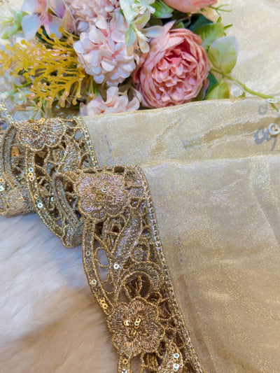 Pure Zari Tissue Cutwork Dupatta Dyeable 2.50 meter length