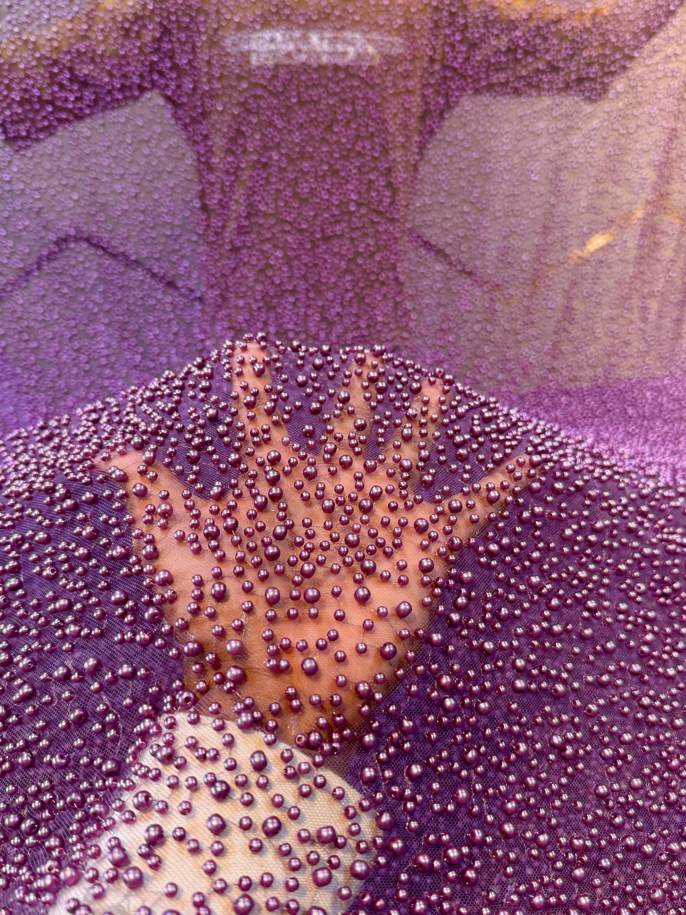 Imported Handwork Net Embroidery With Scattered Pearls Work 54 inch width