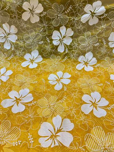 Aina Floral Organza Chikankari Embroidery 44 Inch Width