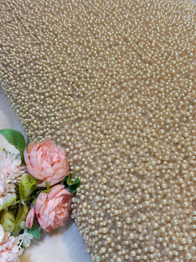 Imported Handwork Net Embroidery With Scattered Pearls Work 54 inch width