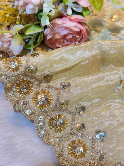 Mehz Zari Tissue Handwork Dyeable Dupatta (2.40 meter length)