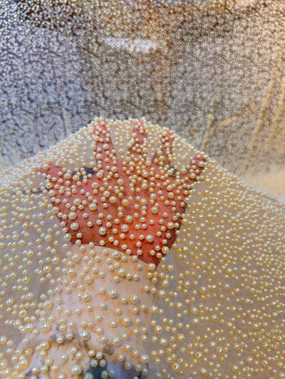 Imported Handwork Net Embroidery With Scattered Pearls Work 54 inch width