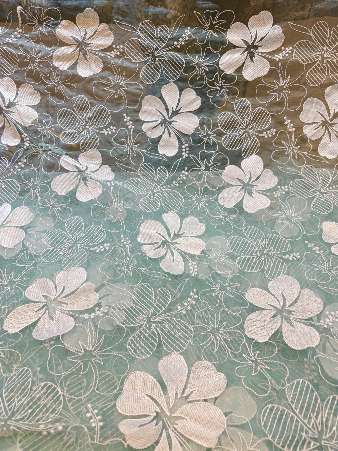 Aina Floral Organza Chikankari Embroidery 44 Inch Width