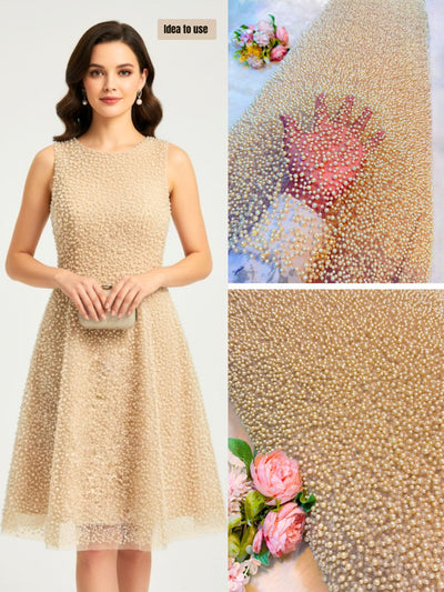 Imported Handwork Net Embroidery With Scattered Pearls Work 54 inch width