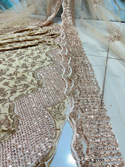 (Mix and Match ) Pure Velvet Handwork Embroidery 54 inch width / Net Dupatta With Two side Borders  37 inch width