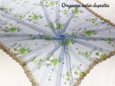 Bloemen zijden organza handwerk dupatta 